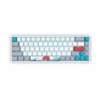 SKYLOONG Coral Sea Mechanical Keyboard SK68S Price in Pakistan