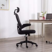 Boost Thrive Office Chair Price in Pakistan 01