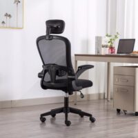 Boost Thrive Office Chair Price in Pakistan 02