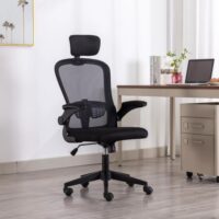 Boost Thrive Office Chair Price in Pakistan