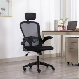 Boost Thrive Office Chair Price in Pakistan