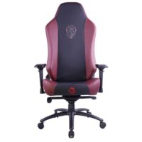 GAMEON x DC Licensed With Adjustable 4D Armrest Metal Base Gaming Chair House of The Dragons 02
