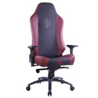 GAMEON x DC Licensed With Adjustable 4D Armrest Metal Base Gaming Chair House of The Dragons 04