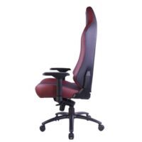 GAMEON x DC Licensed With Adjustable 4D Armrest Metal Base Gaming Chair House of The Dragons 09