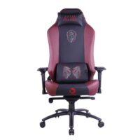 GAMEON x DC Licensed With Adjustable 4D Armrest Metal Base Gaming Chair House of The Dragons