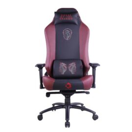 GAMEON x DC Licensed With Adjustable 4D Armrest Metal Base Gaming Chair House of The Dragons