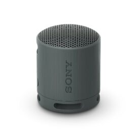 Sony SRS-XB100 Portable Wireless Speaker Black