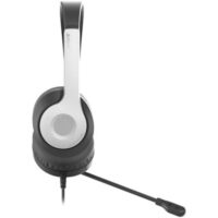A4Tech FH100U Stereo Headset - Panda - Image 4