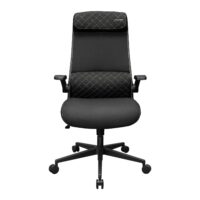 Cougar STRYDER Chair, Imitation Linen Material, Adjustable Headrest, Multi-Density Foam Seat, Ergonomically Contoured Lumbar Zone, Class 4 Gas Lift Cylinder, Black