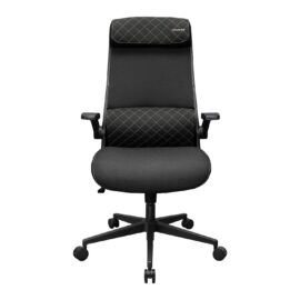 Cougar STRYDER Chair, Imitation Linen Material, Adjustable Headrest, Multi-Density Foam Seat, Ergonomically Contoured Lumbar Zone, Class 4 Gas Lift Cylinder, Black