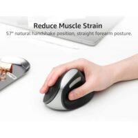 Rapoo EV250 Silent Vertical Ergonomic 2.4G Wireless Optical Mouse - Black - Image 3