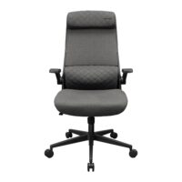 Cougar STRYDER Chair, Imitation Linen Material, Adjustable Headrest, Multi-Density Foam Seat, Ergonomically Contoured Lumbar Zone, Class 4 Gas Lift Cylinder, Gray